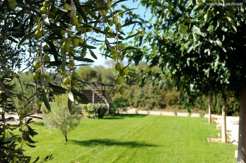 Les Hotes De La Combe Mouis Creissan ภายนอก รูปภาพ